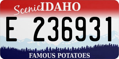 ID license plate E236931