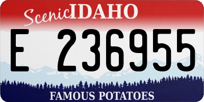 ID license plate E236955