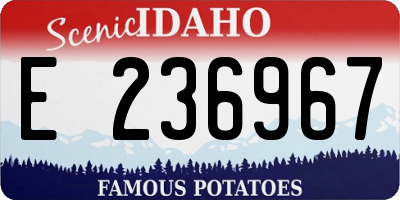 ID license plate E236967