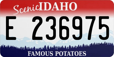 ID license plate E236975