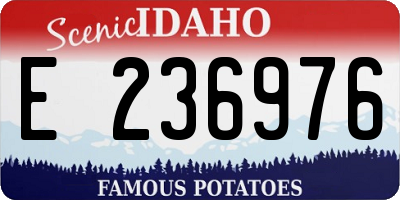 ID license plate E236976