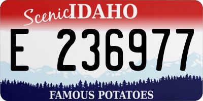 ID license plate E236977