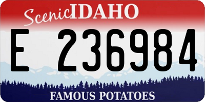 ID license plate E236984