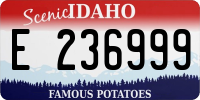 ID license plate E236999