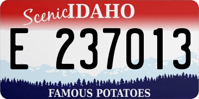 ID license plate E237013