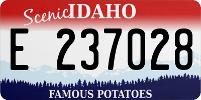 ID license plate E237028