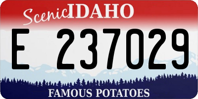 ID license plate E237029