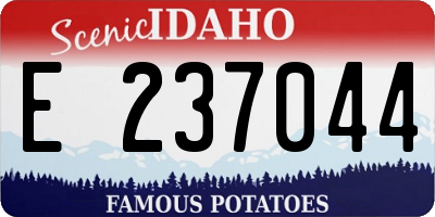 ID license plate E237044