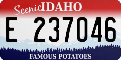 ID license plate E237046