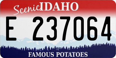 ID license plate E237064