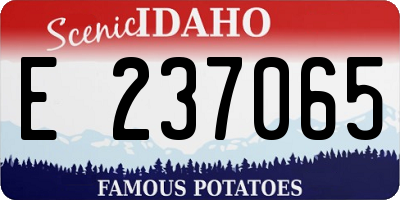 ID license plate E237065