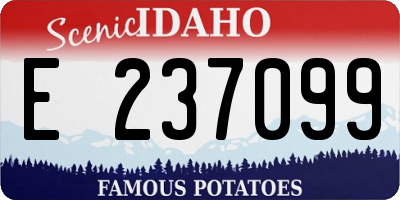 ID license plate E237099