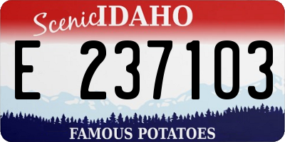 ID license plate E237103