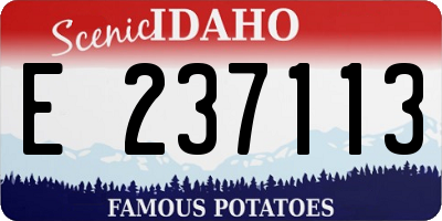 ID license plate E237113