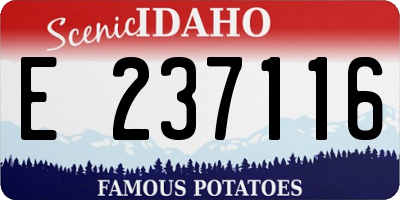 ID license plate E237116