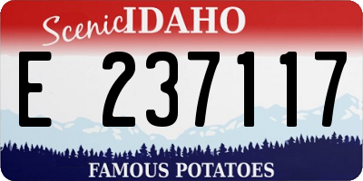 ID license plate E237117