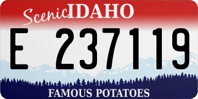 ID license plate E237119