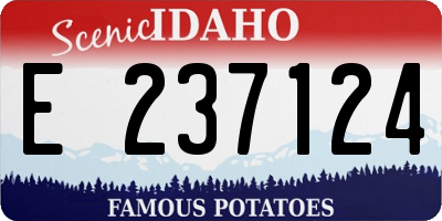 ID license plate E237124
