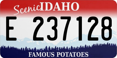 ID license plate E237128