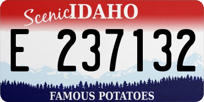 ID license plate E237132