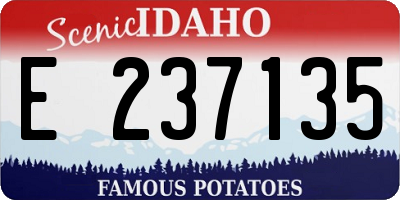 ID license plate E237135