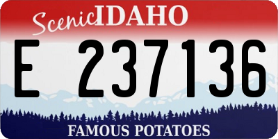 ID license plate E237136