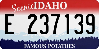 ID license plate E237139