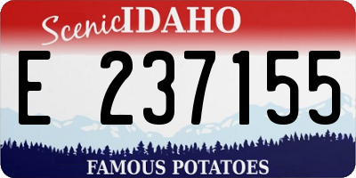 ID license plate E237155