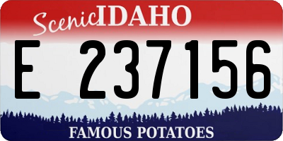 ID license plate E237156