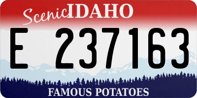 ID license plate E237163