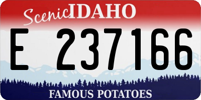 ID license plate E237166