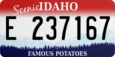 ID license plate E237167