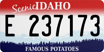 ID license plate E237173