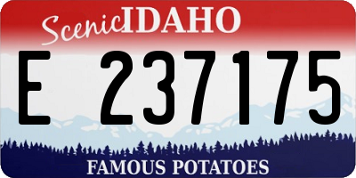 ID license plate E237175