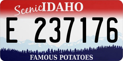 ID license plate E237176