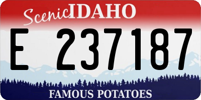 ID license plate E237187