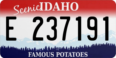 ID license plate E237191
