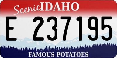 ID license plate E237195