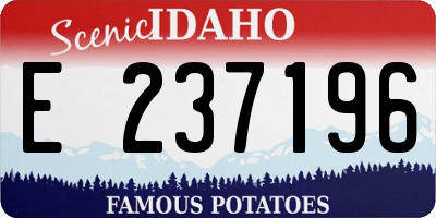 ID license plate E237196