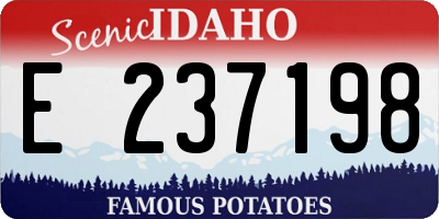 ID license plate E237198