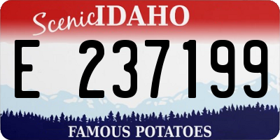 ID license plate E237199