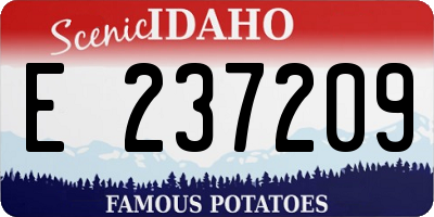 ID license plate E237209