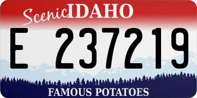 ID license plate E237219