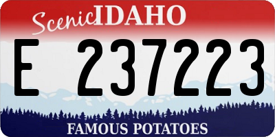 ID license plate E237223