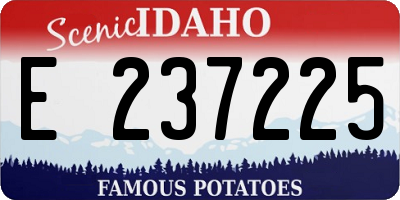 ID license plate E237225