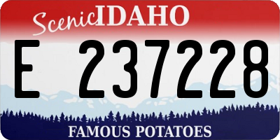 ID license plate E237228