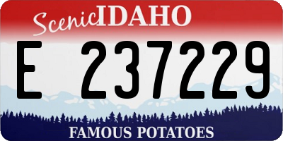 ID license plate E237229