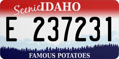 ID license plate E237231