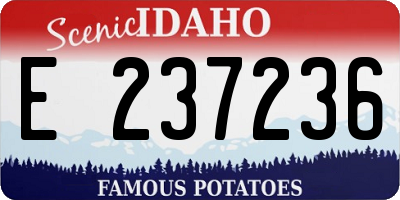 ID license plate E237236