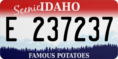ID license plate E237237